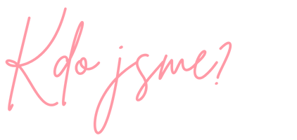 recenze socialwedesign